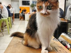 -玫瑰咖啡(中山六路店)