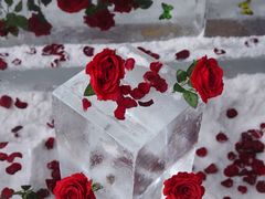 -湘江欢乐城欢乐雪域