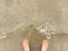 -碧海金沙