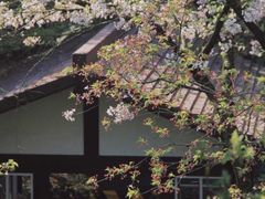 -中国茶叶博物馆(双峰馆区)