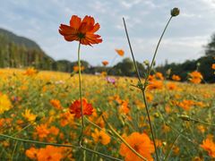 -贵阳市花溪国家城市湿地公园