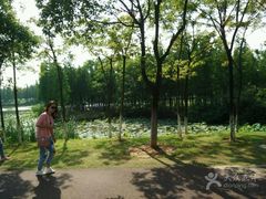 -艾溪湖湿地公园