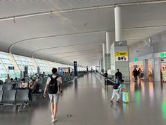-合肥新桥国际机场-航站楼