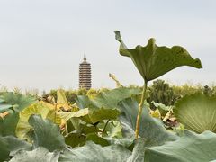 -西海子公园