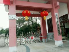 -九龙江国家森林公园