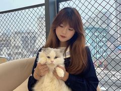 -怪兽屋·羊驼·猫咖·狗咖(俊华广场店)