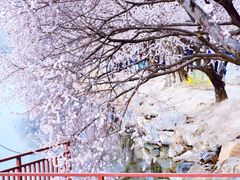 -颐和园