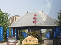 -林栖谷森林康养度假区