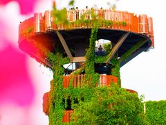 -芒洲湿地公园