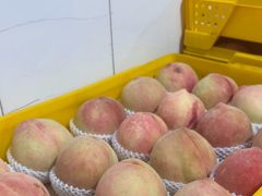 -老袁家蜜桃农场·阳山水蜜桃