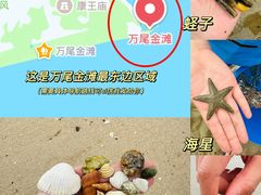 -万尾金滩