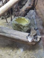 点击看大图 -酷嗒动物文化乐园(cutezoo西溪乐天城店)