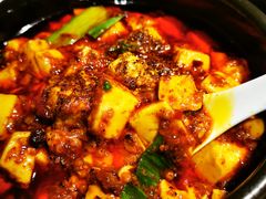 -陈麻婆豆腐总店