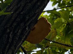 -丹东市五龙山风景区