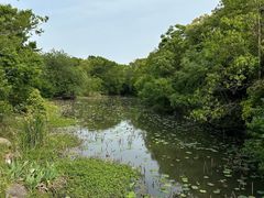 -上海海湾国家森林公园