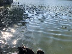 -茵特拉根酒店·西餐厅