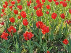 -长春公园(普阳街道)