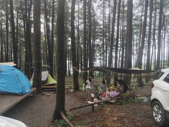 -重庆睡佛山森林公园