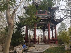 -塘沽森林公园