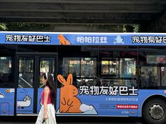 -帕帕拉兹宠物(亚洲旗舰店)