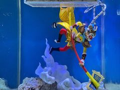 -上海海昌海洋公园