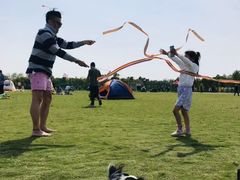 -春花秋色城市公园