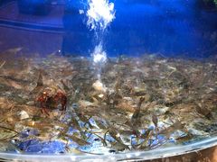 门面-朱桥甲鱼馆(淮海西路店)