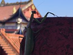 -蜀南竹海景区