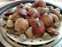 -港畔赶海蒸汽海鲜烧烤自助(仙螺岛店)