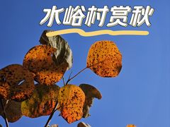 -水峪民俗村