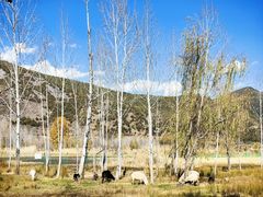 -泸沽湖国家级风景名胜区走婚桥