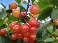 -珠源印象·影院足道·按摩SPA