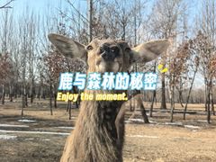 -秦皇岛野生动物园