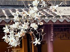 -龙华寺