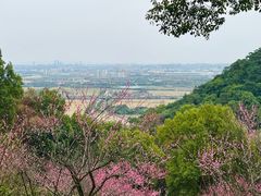 -宁波市保国寺古建筑博物馆