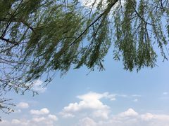 -西昌邛海宾馆