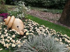 -上海共青森林公园