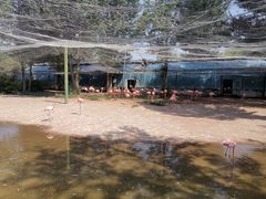 -鄂尔多斯野生动物园