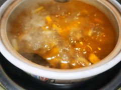 -先机泉水鸡汤(南山老君洞店)