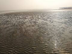 -日照海滨国家森林公园