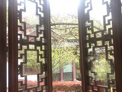 门面-十八棵（老龙井）御茶园(老龙井店)