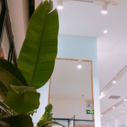 -东方麒麟·潘多拉SALON