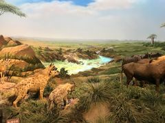 -陕西自然博物馆