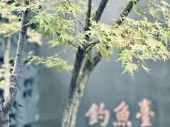 -成都观隐颐云台酒店-芳菲秀