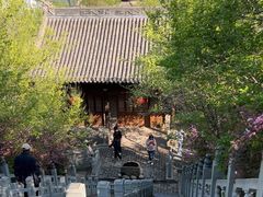 -爱新觉罗皇家博物院