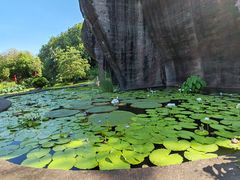 -广州莲花山旅游区