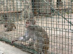 -南京金牛湖风景区
