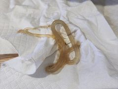 -老新隆牛肉锅贴(新街口店)