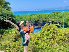 -三亚亚龙湾天域度假酒店