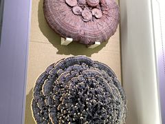 -北京中医药大学-中医药博物馆